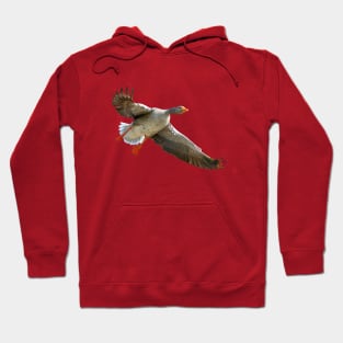 Goose coming into land Hoodie